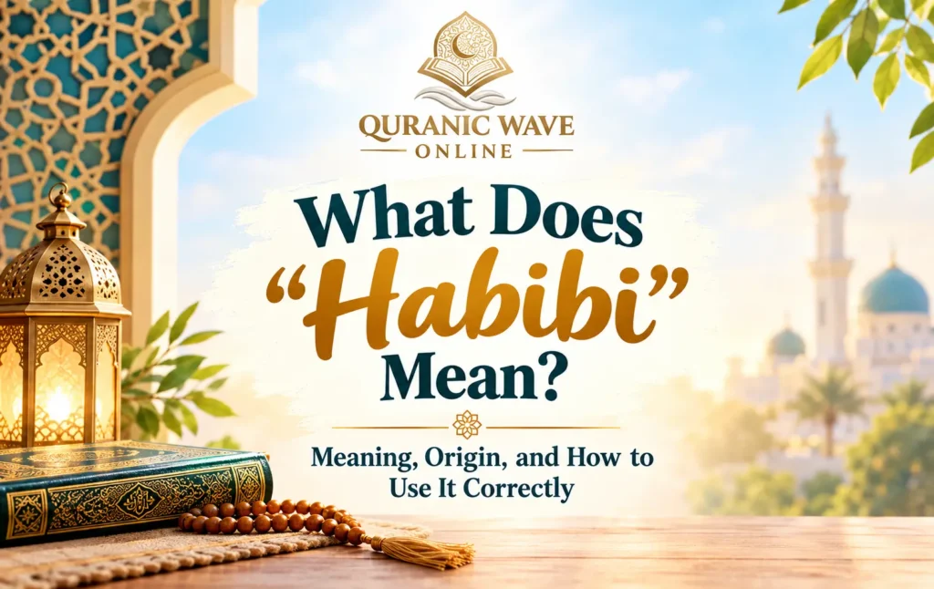 Graphic explaining what does Habibi mean in Arabic, showing its definition and common usage.